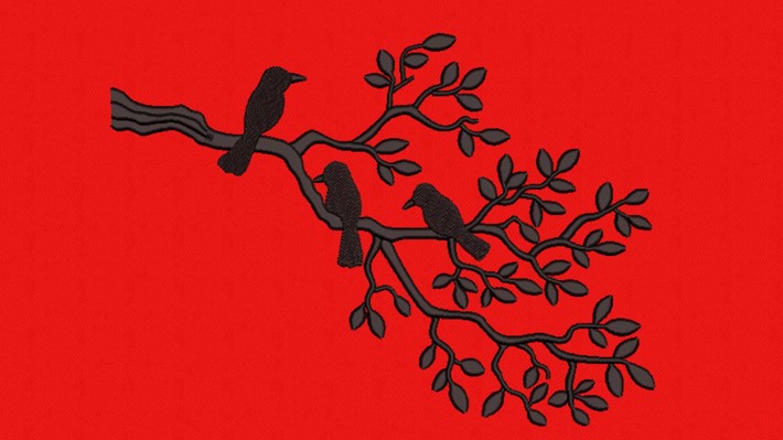 Silhouette Birds On Branches