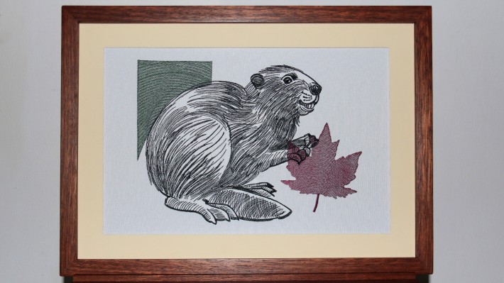 Beaver Hand Drawing with Maple Leaf