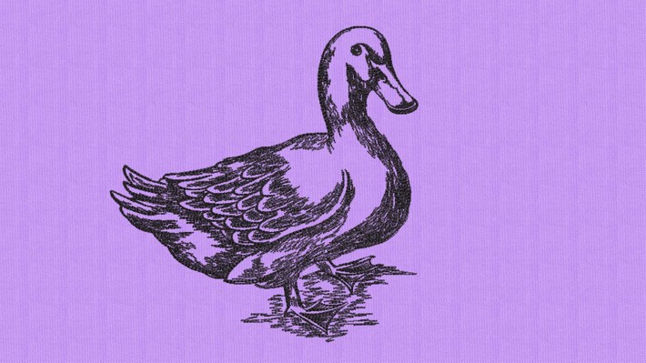 Duck Hand Drawing Embroidery Designs