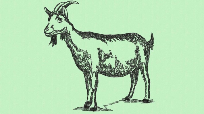 Goat Hand Drawing Embroidery Designs