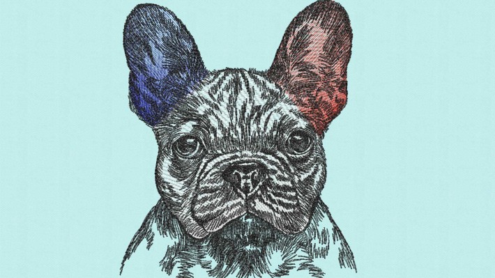 French Buldog Hand Drawing Embroidery Designs