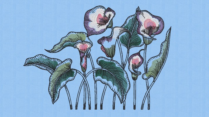 Calla Lily 002 Embroidery Designs