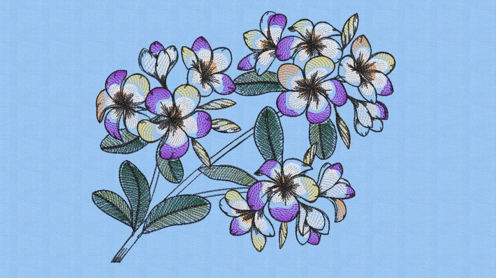 Plumeria Flower 001 Embroidery Designs