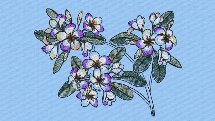 Plumeria Flower 003 Embroidery Designs