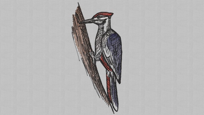 Woodpecker Embroidery Designs