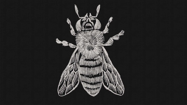 Bee Hand Drawing Designs