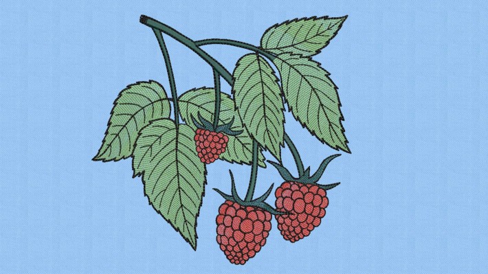 Raspberries Embroidery Designs