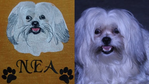 Turn your pet photos into embroidery designs file